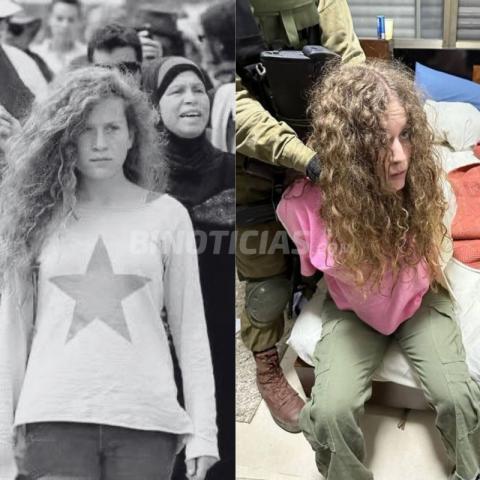 Ahed Tamimi