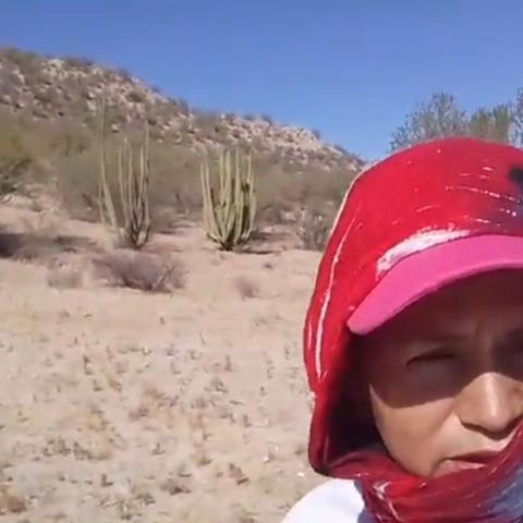 Atacan a Colectivo de Madres Buscadoras durante jornada de búsqueda en Hermosillo