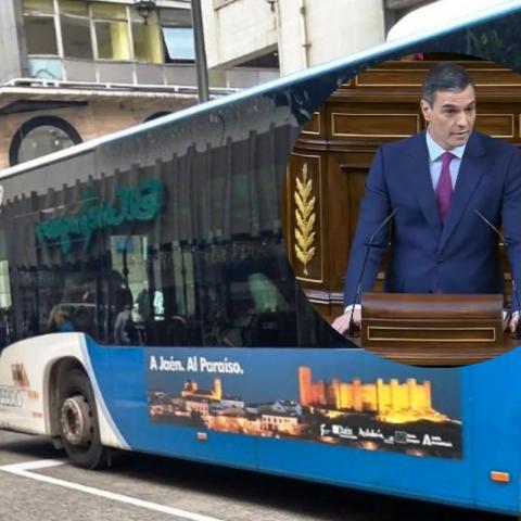 España tendrá transporte público gratis para estudiantes, menores de edad y personas desempleadas