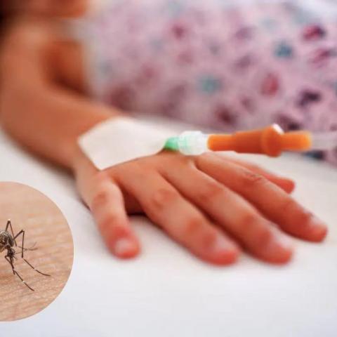 Fallece segunda víctima de dengue en Guanajuato; un niño de ocho años