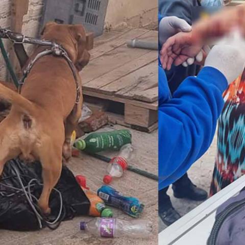 Su perro lo desconoció y cuando su esposa lo quiso ayudar también fue atacada