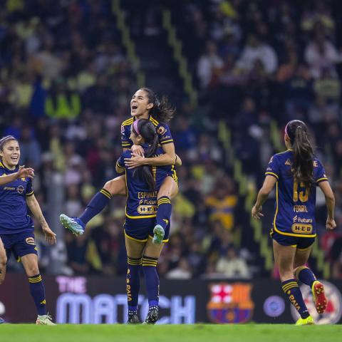 TIGRES FEMENIL