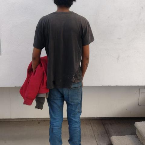 distribuidor