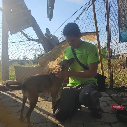 Hidrocálidos también acuden a Acapulco a rescatar perros y gatos en abandono