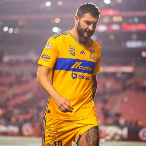 Gignac lesionado