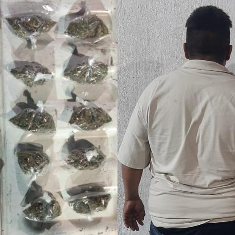 distribuidor