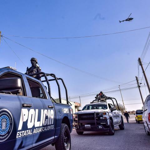 Policía Estatal