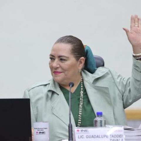 Desea Guadalupe Taddei retorno al cauce institucional en el TEPJF