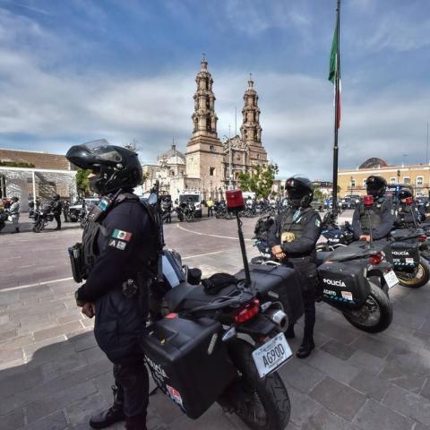 Elementos de seguridad del Estado