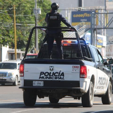 Seguridad Pública