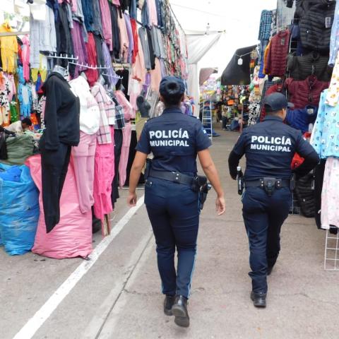 Seguridad Pública