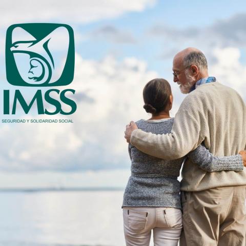 Pensiones IMSS