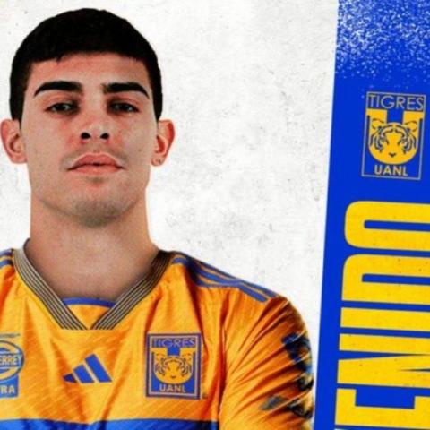 BRUNETTA TIGRES