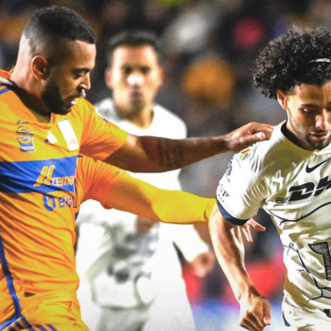 TIGRES VS PUMAS