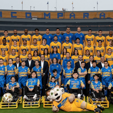 TIGRES 2023