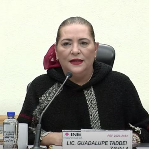 Consejeros rechazan propuestas de Guadalupe Taddei para Secretaría Ejecutiva
