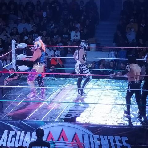 Lucha Libre AAA