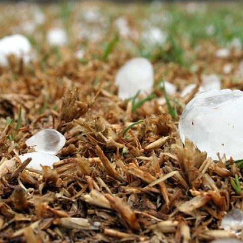 Hoy Aguascalientes espera lluvias fuertes y hasta caída de granizo