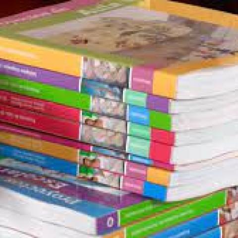 Libros de texto no han llegado a todas las escuelas, denuncian maestros