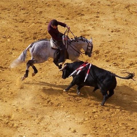 Corridas de toros 