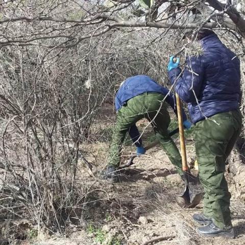 Hallan 10 cadáveres en fosa clandestina en Luis Moya, Zacatecas
