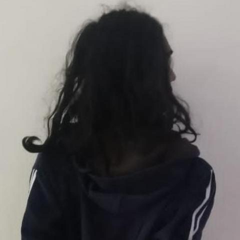 faltas