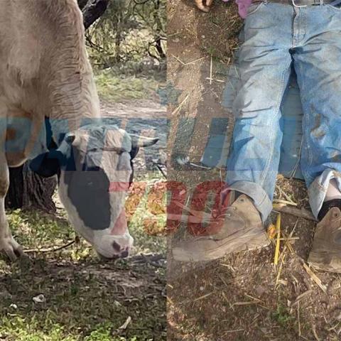 El lamentable incidente ocurrió en el interior de un Rancho en Tepezalá