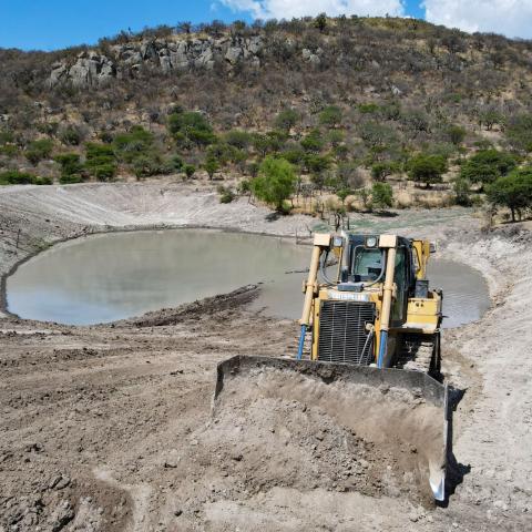 Ante escasez de lluvias, rehabilitan bordos para mejorar su captación