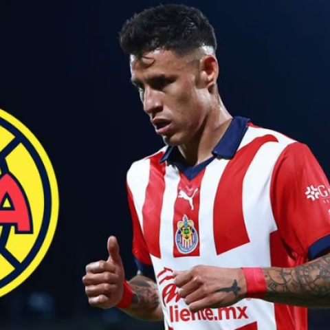 CHICOTE AMÉRICA