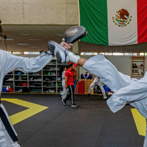 TAEKWONDO MEXICANO