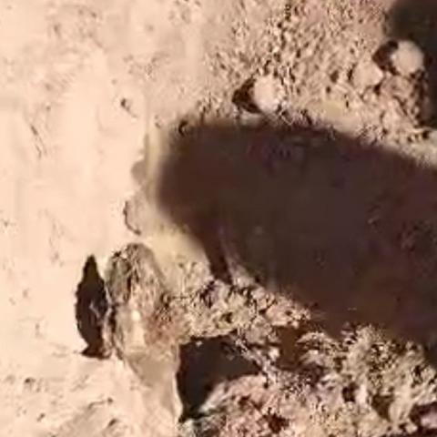 Madres en Sonora descubren 17 fosas clandestinas con restos humanos