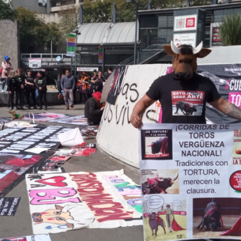 Protestan contra el reinicio de las corridas de toros en la Plaza México