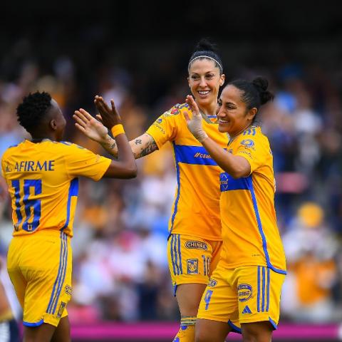 TIGRES VS PUMAS FEMENIL