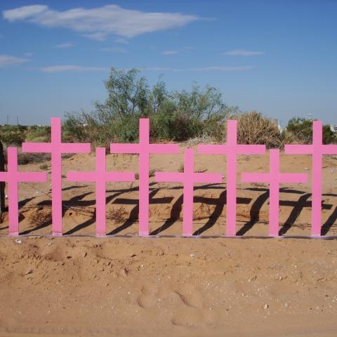 Cruces en conmemoración de víctimas del feminicidio