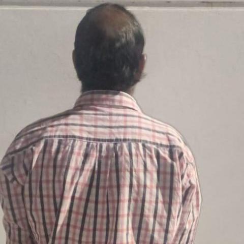 distribuidor