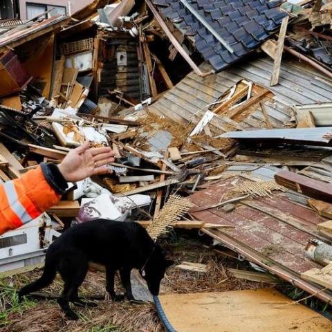 Rescatan a mujer de 90 años tras cinco días bajo escombros en Japón