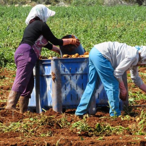 Trabajadores del campo