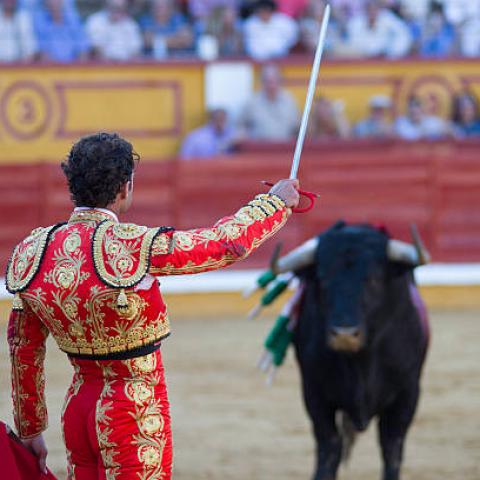 Amparo presentado por asociaciones busca impedir el regreso de las corridas de toros en la CDMX