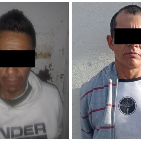distribuidores