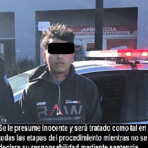 distribuidor