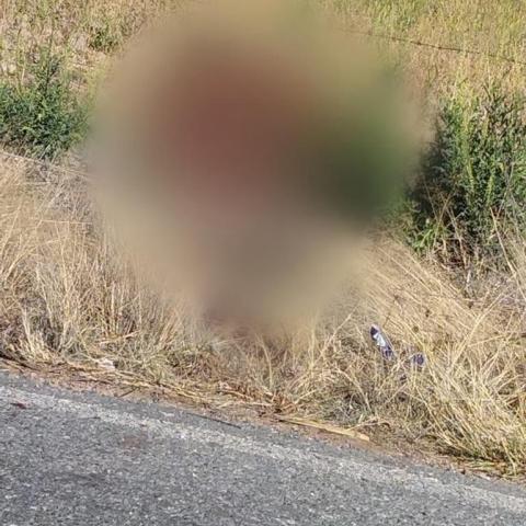 Asesinado