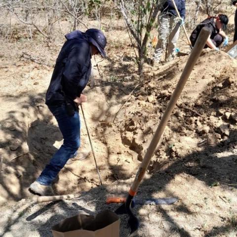 Hallan más de 100 restos de huesos en una fosa clandestina, en Baja California Sur