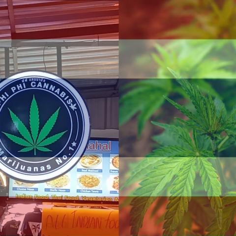 Tailandia prohibirá la venta y consumo de la mariguana… nuevamente