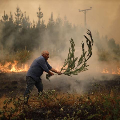 Sigue aumentando la cifra de muertos por incendios en Chile