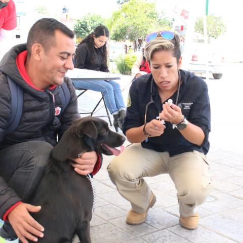 Servicios veterinarios gratuitos este viernes en Pabellón de Arteaga