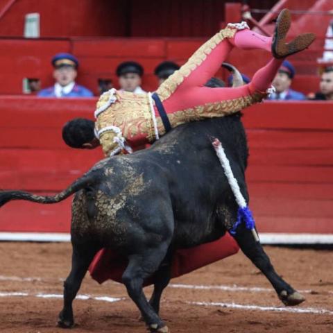 El tercer toro de la cartelera generó una herida de 20 centímetros en su muslo derecho.