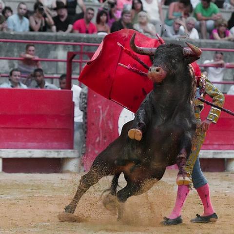 Corrida de toros 