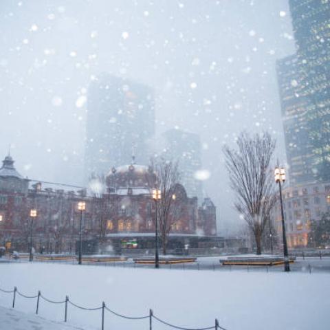 Más de 100 vuelos cancelados y cortes en el transporte público por nevadas en Tokio