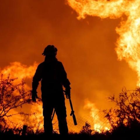 Más de 2 mil hectáreas incendiadas en el Parque Nacional de Argentina