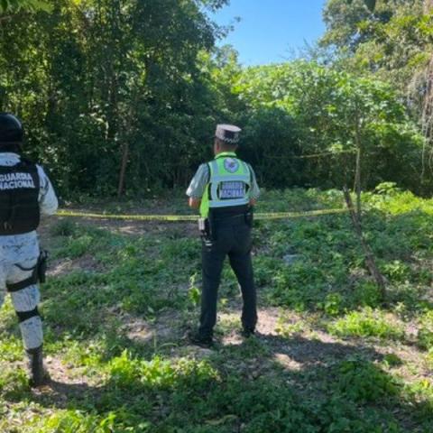 Encuentran cerca de 14 cuerpos en una fosa de Tihuatlán, Veracruz.